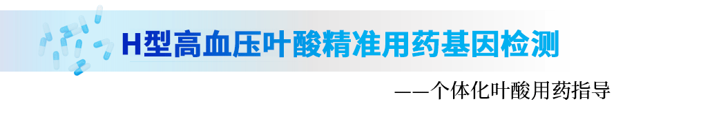 h型高血压叶酸.png